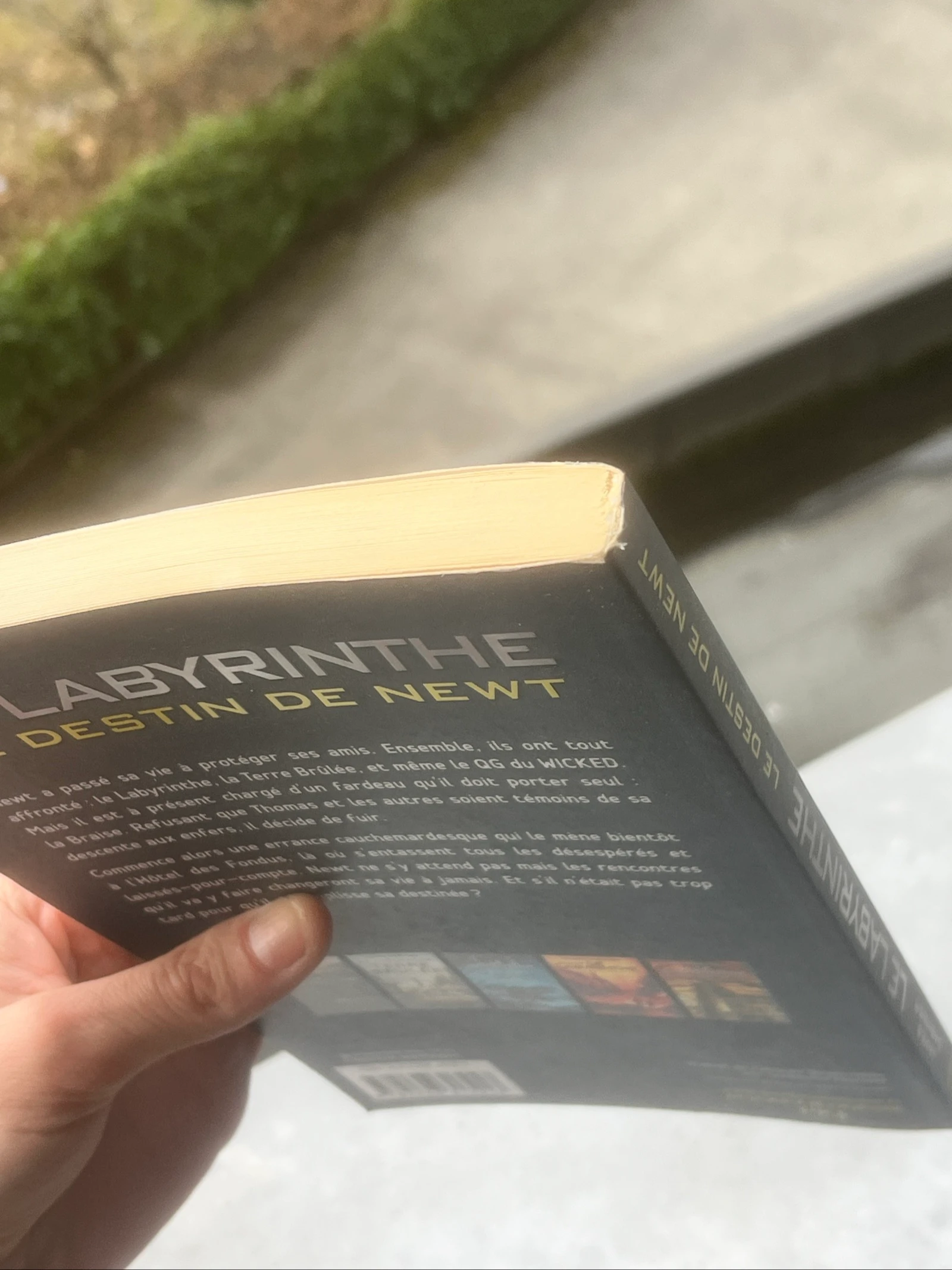 libro El Laberinto – El Destino de Newt | James Dashner – photo 6